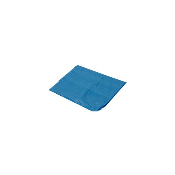 Harpster Of Philipsburg Light Duty Tarp, Blue, High-Density Polyethylene B25x40 - main